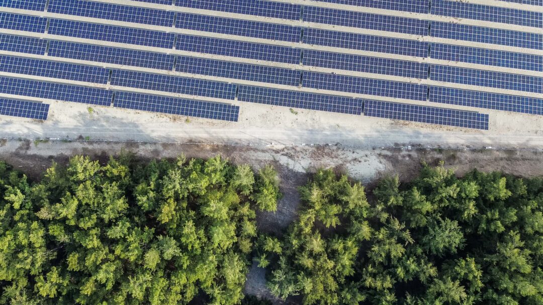 Forests clear-cut as Philippines builds solar projects